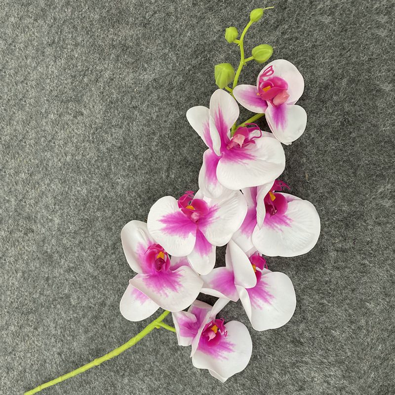 7 heads faux moth orchid is made of Film cloth and is available in 11 colors. Artificial orchids are mainly used for decoration and flower arrangement. Artificial orchids are common in home decoration and can be inserted in vases or pots to add vitality to living rooms, bedrooms and dining rooms. Orchids are beautiful and can mix with roses, hydrangeas, and lilies. Leafhometrade specializes in providing wholesale custom artificial plants.