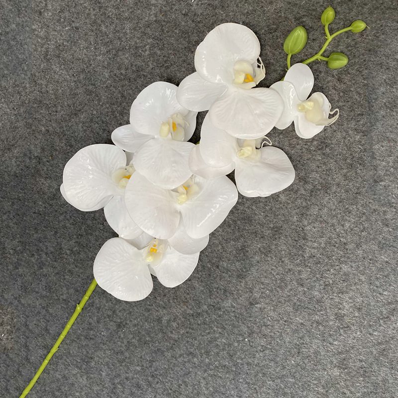 7 heads faux moth orchid is made of Film cloth and is available in 11 colors. Artificial orchids are mainly used for decoration and flower arrangement. Artificial orchids are common in home decoration and can be inserted in vases or pots to add vitality to living rooms, bedrooms and dining rooms. Orchids are beautiful and can mix with roses, hydrangeas, and lilies. Leafhometrade specializes in providing wholesale custom artificial plants.