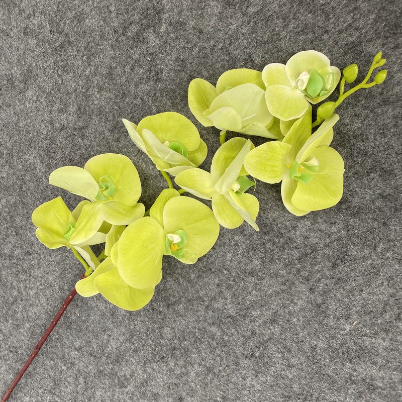 9 heads faux moth orchid is made of Film cloth and is available in 11 colors. Artificial orchids are mainly used for decoration and flower arrangement. Artificial orchids are common in home decoration and can be inserted in vases or pots to add vitality to living rooms, bedrooms and dining rooms. Orchids are beautiful and can mix with roses, hydrangeas, and lilies. Leafhometrade specializes in providing wholesale custom artificial plants.