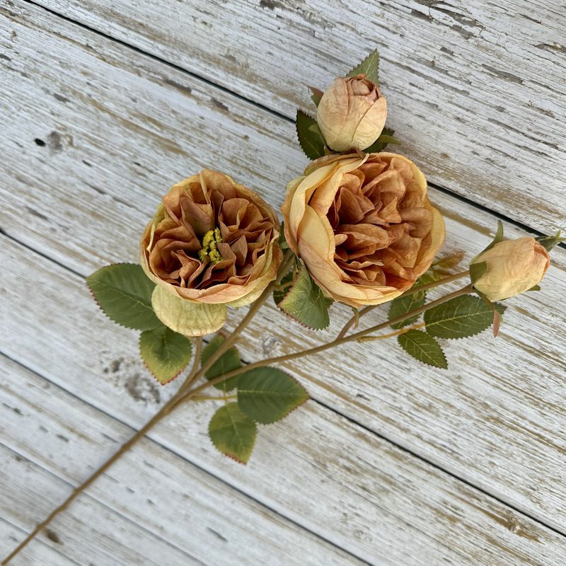 Decorative flowers artificial flowers are Garden Rose made of silk cloth, available in 6 colors. Artificial rose flowers are used for home decoration and photography arrangement props. Leafhometrade specializes in providing wholesale custom artificial plants.