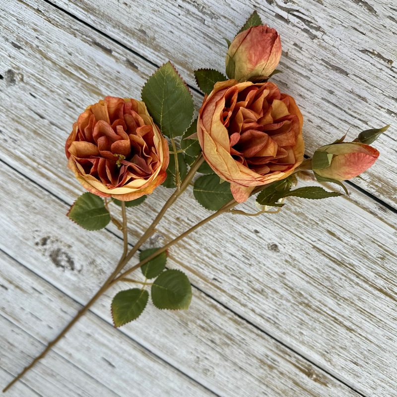 Decorative flowers artificial flowers are Garden Rose made of silk cloth, available in 6 colors. Artificial rose flowers are used for home decoration and photography arrangement props. Leafhometrade specializes in providing wholesale custom artificial plants.