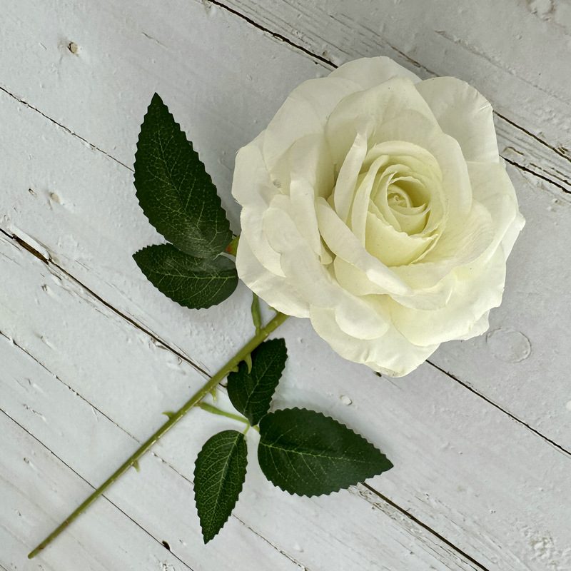 Single rose is a hybrid tea rose, made of coated cloth and has 3 colors to choose from. Artificial rose are used in plant wall and arch decoration. Leafhometrade specializes in providing wholesale customized artificial plants.