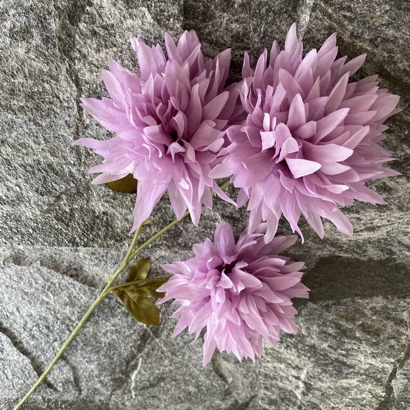 Artificial chrysanthemum are made of silk cloth and is available in 9 colors. Fake chrysanthemum flowers are used for decor Outdoor, front porch, back deck, garden, balcony, terrace, patio, reservation area, hotel and restaurant. Faux chrysanthemum arrangements can be paired with Begonias, ornamental cabbages, dahlias, roses, tulips, lilies, berries., etc. Leafhometrade specializes in providing wholesale custom artificial chrysanthemum.