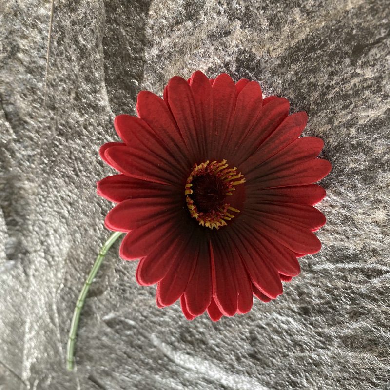 Artificial gerbera daisy are made of Soft rubber cloth and is available in 29 colors. Fake gerbera daisy flowers are used for decor Outdoor, front porch, back deck, garden, balcony, terrace, patio, reservation area, hotel and restaurant. Faux gerbera daisy arrangements can be paired with Begonias, ornamental cabbages, dahlias, roses, tulips, lilies, berries., etc. Leafhometrade specializes in providing wholesale custom artificial daisy.