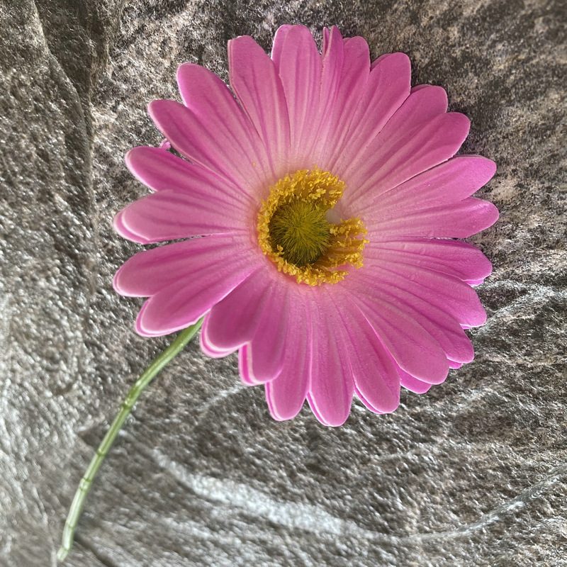 Artificial gerbera daisy are made of Soft rubber cloth and is available in 29 colors. Fake gerbera daisy flowers are used for decor Outdoor, front porch, back deck, garden, balcony, terrace, patio, reservation area, hotel and restaurant. Faux gerbera daisy arrangements can be paired with Begonias, ornamental cabbages, dahlias, roses, tulips, lilies, berries., etc. Leafhometrade specializes in providing wholesale custom artificial daisy.