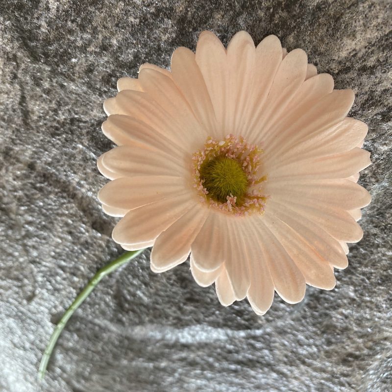 Artificial gerbera daisy are made of Soft rubber cloth and is available in 29 colors. Fake gerbera daisy flowers are used for decor Outdoor, front porch, back deck, garden, balcony, terrace, patio, reservation area, hotel and restaurant. Faux gerbera daisy arrangements can be paired with Begonias, ornamental cabbages, dahlias, roses, tulips, lilies, berries., etc. Leafhometrade specializes in providing wholesale custom artificial daisy.