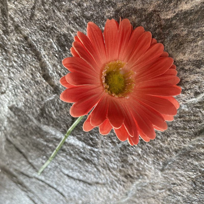 Artificial gerbera daisy are made of Soft rubber cloth and is available in 29 colors. Fake gerbera daisy flowers are used for decor Outdoor, front porch, back deck, garden, balcony, terrace, patio, reservation area, hotel and restaurant. Faux gerbera daisy arrangements can be paired with Begonias, ornamental cabbages, dahlias, roses, tulips, lilies, berries., etc. Leafhometrade specializes in providing wholesale custom artificial daisy.