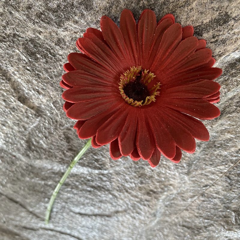 Artificial gerbera daisy are made of Soft rubber cloth and is available in 29 colors. Fake gerbera daisy flowers are used for decor Outdoor, front porch, back deck, garden, balcony, terrace, patio, reservation area, hotel and restaurant. Faux gerbera daisy arrangements can be paired with Begonias, ornamental cabbages, dahlias, roses, tulips, lilies, berries., etc. Leafhometrade specializes in providing wholesale custom artificial daisy.