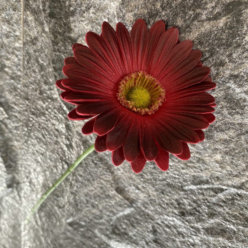 Artificial gerbera daisy are made of Soft rubber cloth and is available in 29 colors. Fake gerbera daisy flowers are used for decor Outdoor, front porch, back deck, garden, balcony, terrace, patio, reservation area, hotel and restaurant. Faux gerbera daisy arrangements can be paired with Begonias, ornamental cabbages, dahlias, roses, tulips, lilies, berries., etc. Leafhometrade specializes in providing wholesale custom artificial daisy.