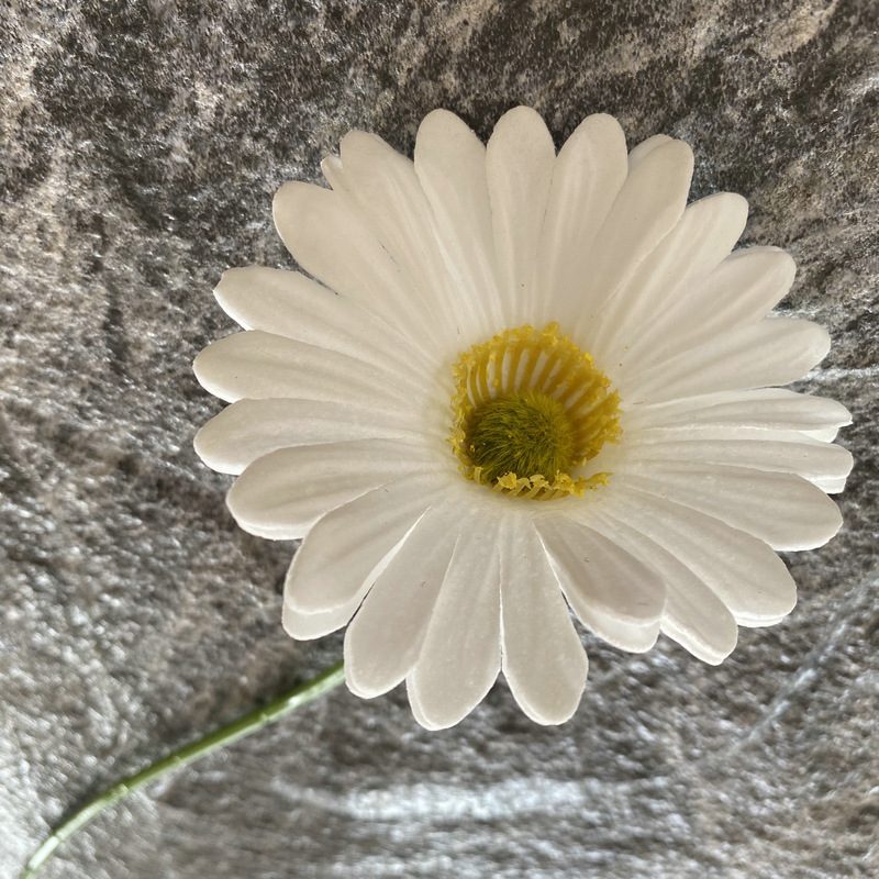 Artificial gerbera daisy are made of Soft rubber cloth and is available in 29 colors. Fake gerbera daisy flowers are used for decor Outdoor, front porch, back deck, garden, balcony, terrace, patio, reservation area, hotel and restaurant. Faux gerbera daisy arrangements can be paired with Begonias, ornamental cabbages, dahlias, roses, tulips, lilies, berries., etc. Leafhometrade specializes in providing wholesale custom artificial daisy.