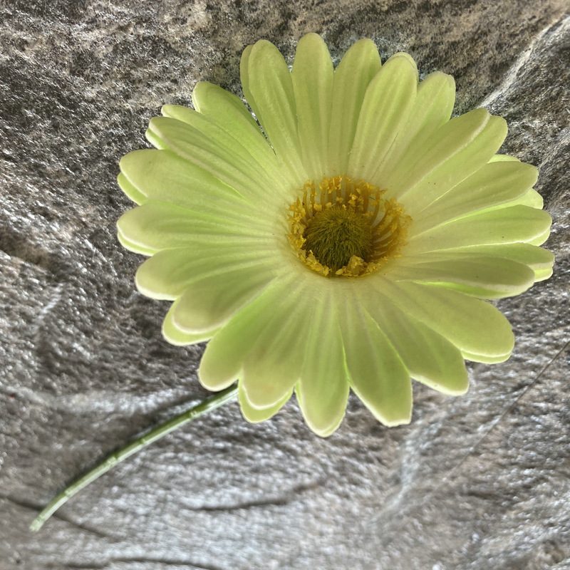 Artificial gerbera daisy are made of Soft rubber cloth and is available in 29 colors. Fake gerbera daisy flowers are used for decor Outdoor, front porch, back deck, garden, balcony, terrace, patio, reservation area, hotel and restaurant. Faux gerbera daisy arrangements can be paired with Begonias, ornamental cabbages, dahlias, roses, tulips, lilies, berries., etc. Leafhometrade specializes in providing wholesale custom artificial daisy.