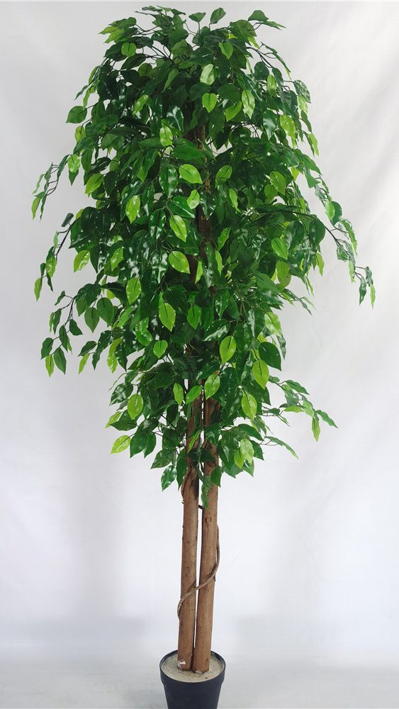 Artificial ficus are made of Feel glue, Solid wood pole, iron wire, tape. Artificial trees with extremely realistic appearance can decorate hotels, casinos, restaurants, shopping malls, retail stores, apartment and office buildings, theaters, stadiums and private homes. Artificial trees can be reused for many years, which makes the initial investment a significant saving in the long run, especially when you consider the maintenance costs required for certain types of trees. Once installed, artificial trees require no maintenance, watering and cleaning, except for occasional dusting when the situation requires it. Leafhometrade specializes in providing wholesale custom artificial plants.