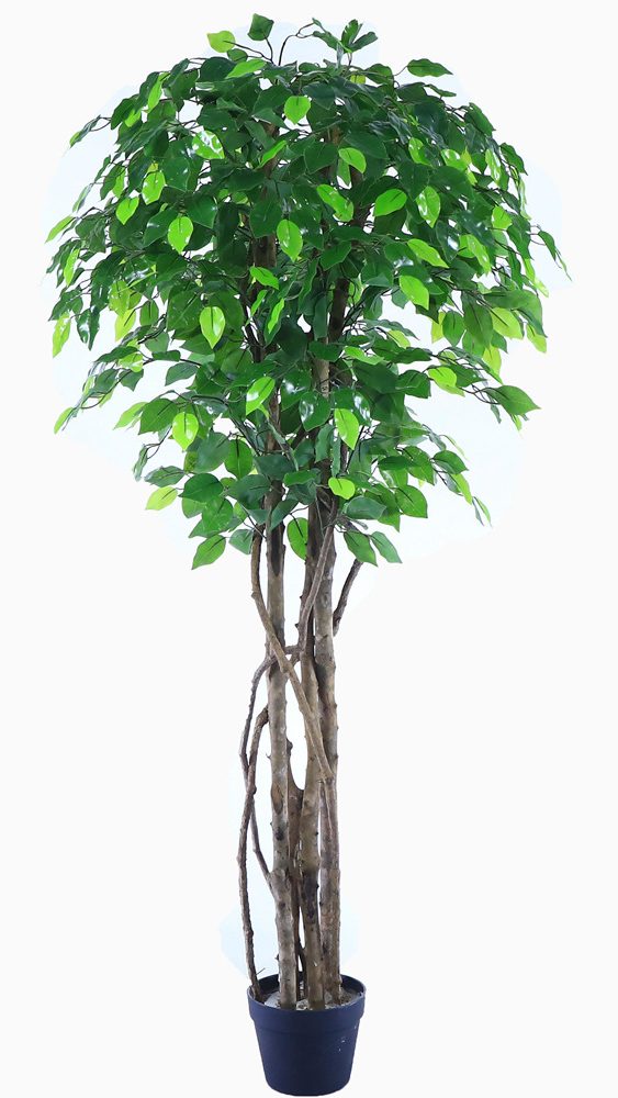 Artificial ficus are made of Feel glue, Solid wood pole, iron wire, tape. Artificial trees with extremely realistic appearance can decorate hotels, casinos, restaurants, shopping malls, retail stores, apartment and office buildings, theaters, stadiums and private homes. Artificial trees can be reused for many years, which makes the initial investment a significant saving in the long run, especially when you consider the maintenance costs required for certain types of trees. Once installed, artificial trees require no maintenance, watering and cleaning, except for occasional dusting when the situation requires it. Leafhometrade specializes in providing wholesale custom artificial plants.