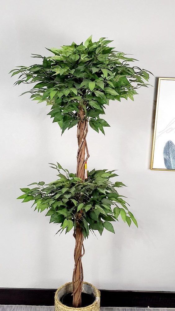 Artificial ficus are made of Feel glue, Solid wood pole, iron wire, tape. Artificial trees with extremely realistic appearance can decorate hotels, casinos, restaurants, shopping malls, retail stores, apartment and office buildings, theaters, stadiums and private homes. Artificial trees can be reused for many years, which makes the initial investment a significant saving in the long run, especially when you consider the maintenance costs required for certain types of trees. Once installed, artificial trees require no maintenance, watering and cleaning, except for occasional dusting when the situation requires it. Leafhometrade specializes in providing wholesale custom artificial plants.