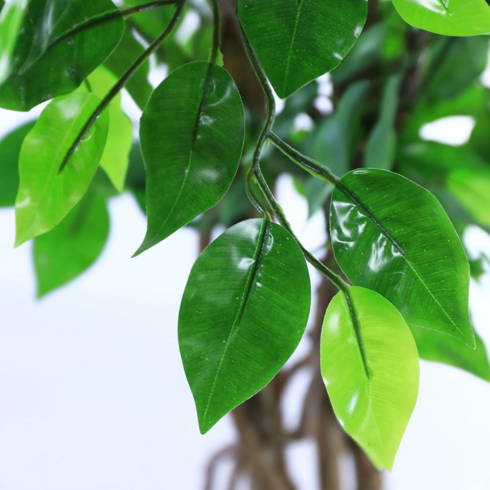 Artificial ficus are made of Feel glue, Solid wood pole, iron wire, tape. Artificial trees with extremely realistic appearance can decorate hotels, casinos, restaurants, shopping malls, retail stores, apartment and office buildings, theaters, stadiums and private homes. Artificial trees can be reused for many years, which makes the initial investment a significant saving in the long run, especially when you consider the maintenance costs required for certain types of trees. Once installed, artificial trees require no maintenance, watering and cleaning, except for occasional dusting when the situation requires it. Leafhometrade specializes in providing wholesale custom artificial plants.