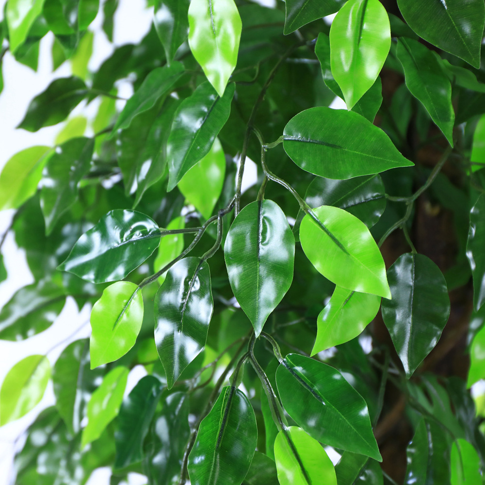 Artificial ficus are made of Feel glue, Solid wood pole, iron wire, tape. Artificial trees with extremely realistic appearance can decorate hotels, casinos, restaurants, shopping malls, retail stores, apartment and office buildings, theaters, stadiums and private homes. Artificial trees can be reused for many years, which makes the initial investment a significant saving in the long run, especially when you consider the maintenance costs required for certain types of trees. Once installed, artificial trees require no maintenance, watering and cleaning, except for occasional dusting when the situation requires it. Leafhometrade specializes in providing wholesale custom artificial plants.