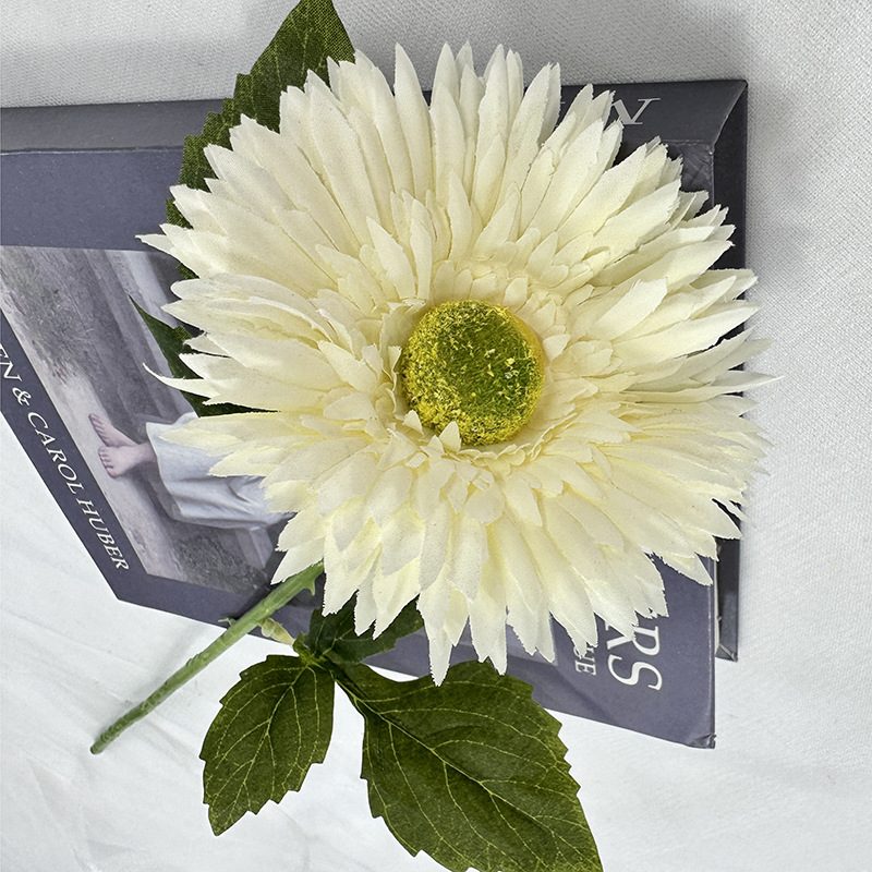 Artificial gerbera are made of 240 fabric cloth and is available in 8 colors. Fake gerbera flowers are used for decor Outdoor, front porch, back deck, garden, balcony, terrace, patio, reservation area, hotel and restaurant. Faux gerbera daisy arrangements can be paired with Begonias, ornamental cabbages, dahlias, roses, tulips, lilies, berries, etc. Leafhometrade specializes in providing wholesale custom artificial gerbera daisy stems.