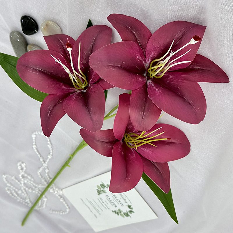 Fake lily flowers are made of 3D printing cloth, available in 10 colors. Lily artificial flowers are used for Car Decor、Exhibition、Home Decor、Hotel Decor、Office Decor. In terms of décor, the Peace Lily can be used as a focal point in a room or as a complement to other decorative elements. . Lily flower arrangement can be matched with Delphinium、Viburnum、Hydrangea、Roses、Jasmine、Celosia、Miscanthus、Zinnias、Cosmos、Branches、dahlias、button poms、Ruscus、Chrysanthemums、Grasses and greenery ect. Leafhometrade specializes in providing wholesale custom artificial plants.