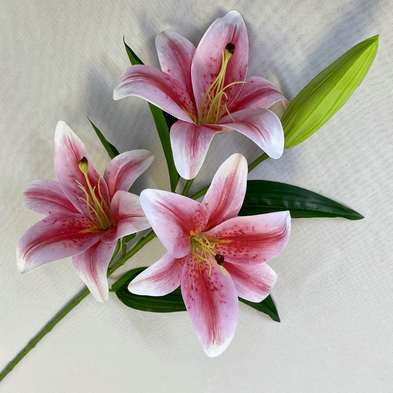 Fake lily flowers are made of 3D printing cloth, available in 7 colors. Lily artificial flowers are used for Car Decor、Exhibition、Home Decor、Hotel Decor、Office Decor. In terms of décor, the Peace Lily can be used as a focal point in a room or as a complement to other decorative elements. . Lily flower arrangement can be matched with Delphinium、Viburnum、Hydrangea、Roses、Jasmine、Celosia、Miscanthus、Zinnias、Cosmos、Branches、dahlias、button poms、Ruscus、Chrysanthemums、Grasses and greenery ect. Leafhometrade specializes in providing wholesale custom artificial plants.