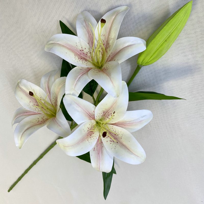 Fake lily flowers are made of 3D printing cloth, available in 7 colors. Lily artificial flowers are used for Car Decor、Exhibition、Home Decor、Hotel Decor、Office Decor. In terms of décor, the Peace Lily can be used as a focal point in a room or as a complement to other decorative elements. . Lily flower arrangement can be matched with Delphinium、Viburnum、Hydrangea、Roses、Jasmine、Celosia、Miscanthus、Zinnias、Cosmos、Branches、dahlias、button poms、Ruscus、Chrysanthemums、Grasses and greenery ect. Leafhometrade specializes in providing wholesale custom artificial plants.