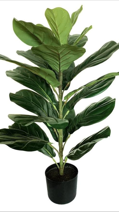 Faux fiddle fig tree are made of Feel glue, environmentally friendly plastic. Artificial trees with extremely realistic appearance can decorate hotels, casinos, restaurants, shopping malls, retail stores, apartment and office buildings, theaters, stadiums and private homes. Artificial trees can be reused for many years, which makes the initial investment a significant saving in the long run, especially when you consider the maintenance costs required for certain types of trees. Once installed, artificial trees require no maintenance, watering and cleaning, except for occasional dusting when the situation requires it. Leafhometrade specializes in providing wholesale custom artificial plants.