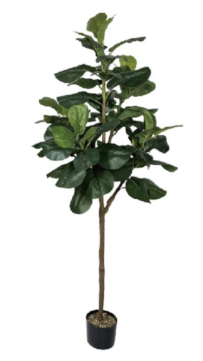 Faux fiddle fig tree are made of Feel glue, environmentally friendly plastic. Artificial trees with extremely realistic appearance can decorate hotels, casinos, restaurants, shopping malls, retail stores, apartment and office buildings, theaters, stadiums and private homes. Artificial trees can be reused for many years, which makes the initial investment a significant saving in the long run, especially when you consider the maintenance costs required for certain types of trees. Once installed, artificial trees require no maintenance, watering and cleaning, except for occasional dusting when the situation requires it. Leafhometrade specializes in providing wholesale custom artificial plants.