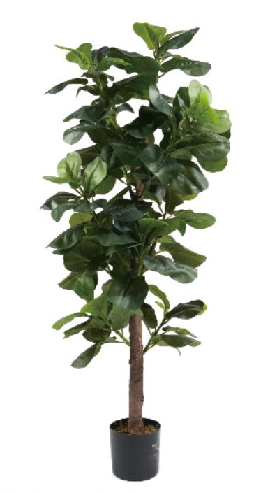 Faux fiddle fig tree are made of Feel glue, environmentally friendly plastic. Artificial trees with extremely realistic appearance can decorate hotels, casinos, restaurants, shopping malls, retail stores, apartment and office buildings, theaters, stadiums and private homes. Artificial trees can be reused for many years, which makes the initial investment a significant saving in the long run, especially when you consider the maintenance costs required for certain types of trees. Once installed, artificial trees require no maintenance, watering and cleaning, except for occasional dusting when the situation requires it. Leafhometrade specializes in providing wholesale custom artificial plants.