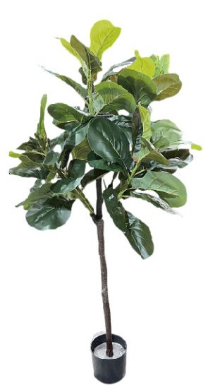 Faux fiddle fig tree are made of Feel glue, environmentally friendly plastic. Artificial trees with extremely realistic appearance can decorate hotels, casinos, restaurants, shopping malls, retail stores, apartment and office buildings, theaters, stadiums and private homes. Artificial trees can be reused for many years, which makes the initial investment a significant saving in the long run, especially when you consider the maintenance costs required for certain types of trees. Once installed, artificial trees require no maintenance, watering and cleaning, except for occasional dusting when the situation requires it. Leafhometrade specializes in providing wholesale custom artificial plants.