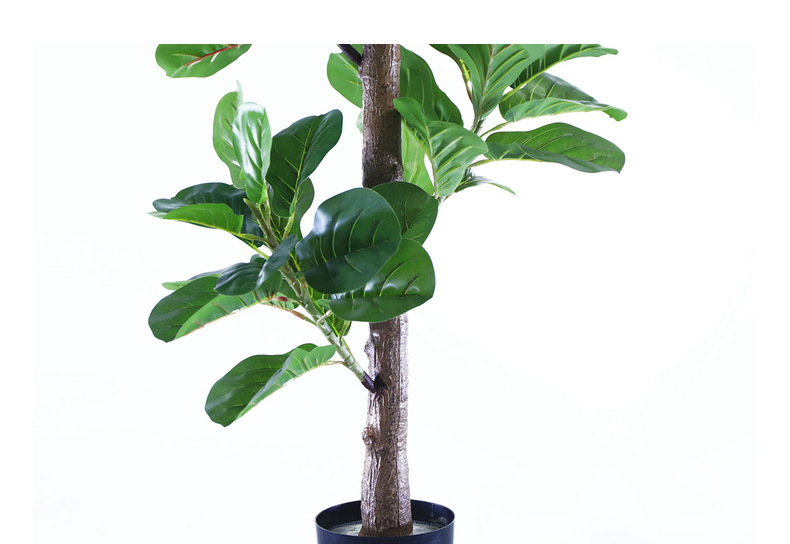 Faux fiddle fig tree are made of Feel glue, environmentally friendly plastic. Artificial trees with extremely realistic appearance can decorate hotels, casinos, restaurants, shopping malls, retail stores, apartment and office buildings, theaters, stadiums and private homes. Artificial trees can be reused for many years, which makes the initial investment a significant saving in the long run, especially when you consider the maintenance costs required for certain types of trees. Once installed, artificial trees require no maintenance, watering and cleaning, except for occasional dusting when the situation requires it. Leafhometrade specializes in providing wholesale custom artificial plants.