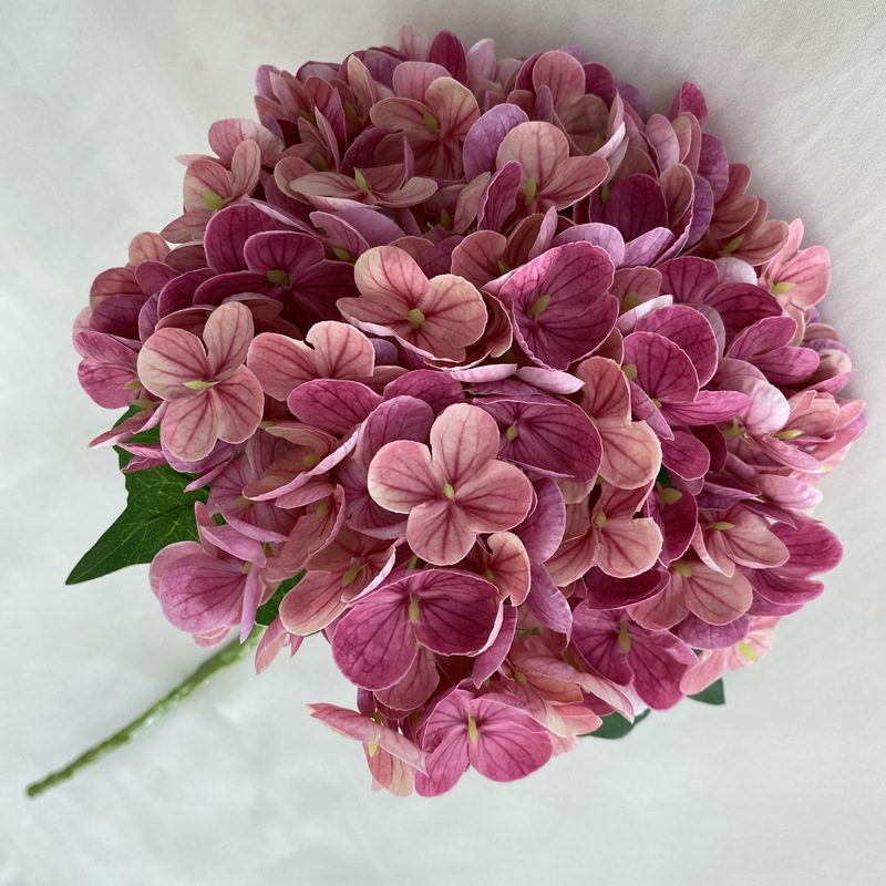 Artificial hydrangeas are made of Soft rubber cloth, available in 20 colors. Artificial hydrangeas flowers are used for ‎Home decoration, party venue decoration, wedding venue decoration, exquisite bouquet design, flower box design, flower basket design. Hydrangea flower arrangements can be paired with delphiniums, freesias, foxgloves, greenery, bells, and more. Use hydrangeas in different colors to create a more vibrant floral arrangement for special occasions. Add some greenery to your flower arrangement to fill in the gaps and add visual interest. Use a vase or container in the same color as the hydrangeas for a more cohesive look. Leafhometrade specializes in providing wholesale custom artificial plants.