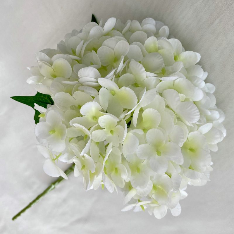 Artificial hydrangeas are made of Soft rubber cloth, available in 20 colors. Artificial hydrangeas flowers are used for ‎Home decoration, party venue decoration, wedding venue decoration, exquisite bouquet design, flower box design, flower basket design. Hydrangea flower arrangements can be paired with delphiniums, freesias, foxgloves, greenery, bells, and more. Use hydrangeas in different colors to create a more vibrant floral arrangement for special occasions. Add some greenery to your flower arrangement to fill in the gaps and add visual interest. Use a vase or container in the same color as the hydrangeas for a more cohesive look. Leafhometrade specializes in providing wholesale custom artificial plants.