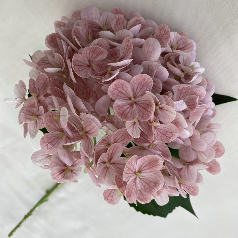 Artificial hydrangeas are made of Soft rubber cloth, available in 20 colors. Artificial hydrangeas flowers are used for ‎Home decoration, party venue decoration, wedding venue decoration, exquisite bouquet design, flower box design, flower basket design. Hydrangea flower arrangements can be paired with delphiniums, freesias, foxgloves, greenery, bells, and more. Use hydrangeas in different colors to create a more vibrant floral arrangement for special occasions. Add some greenery to your flower arrangement to fill in the gaps and add visual interest. Use a vase or container in the same color as the hydrangeas for a more cohesive look. Leafhometrade specializes in providing wholesale custom artificial plants.