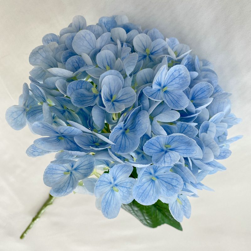 Artificial hydrangeas are made of Soft rubber cloth, available in 20 colors. Artificial hydrangeas flowers are used for ‎Home decoration, party venue decoration, wedding venue decoration, exquisite bouquet design, flower box design, flower basket design. Hydrangea flower arrangements can be paired with delphiniums, freesias, foxgloves, greenery, bells, and more. Use hydrangeas in different colors to create a more vibrant floral arrangement for special occasions. Add some greenery to your flower arrangement to fill in the gaps and add visual interest. Use a vase or container in the same color as the hydrangeas for a more cohesive look. Leafhometrade specializes in providing wholesale custom artificial plants.