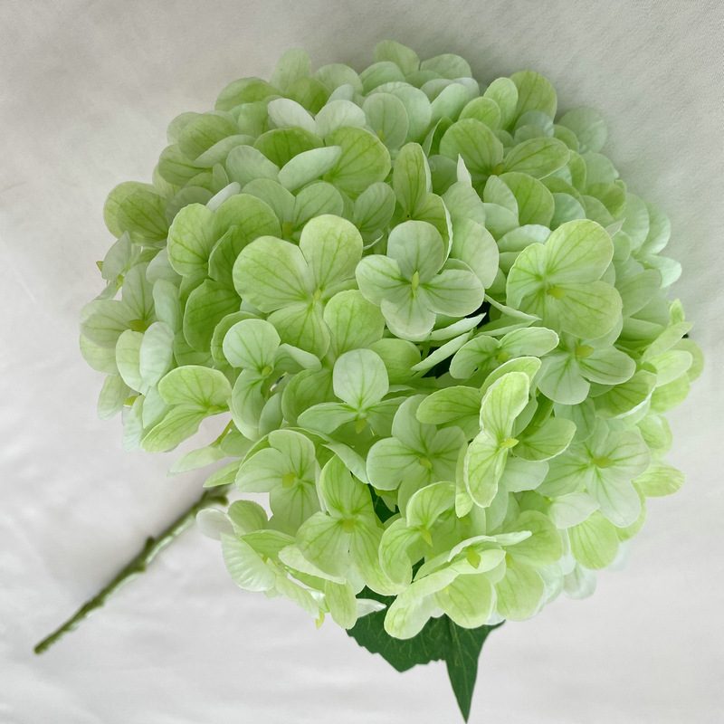 Artificial hydrangeas are made of Soft rubber cloth, available in 20 colors. Artificial hydrangeas flowers are used for ‎Home decoration, party venue decoration, wedding venue decoration, exquisite bouquet design, flower box design, flower basket design. Hydrangea flower arrangements can be paired with delphiniums, freesias, foxgloves, greenery, bells, and more. Use hydrangeas in different colors to create a more vibrant floral arrangement for special occasions. Add some greenery to your flower arrangement to fill in the gaps and add visual interest. Use a vase or container in the same color as the hydrangeas for a more cohesive look. Leafhometrade specializes in providing wholesale custom artificial plants.