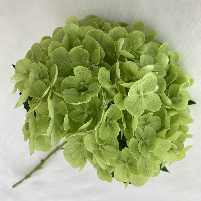 Artificial hydrangeas are made of Soft rubber cloth, available in 20 colors. Artificial hydrangeas flowers are used for ‎Home decoration, party venue decoration, wedding venue decoration, exquisite bouquet design, flower box design, flower basket design. Hydrangea flower arrangements can be paired with delphiniums, freesias, foxgloves, greenery, bells, and more. Use hydrangeas in different colors to create a more vibrant floral arrangement for special occasions. Add some greenery to your flower arrangement to fill in the gaps and add visual interest. Use a vase or container in the same color as the hydrangeas for a more cohesive look. Leafhometrade specializes in providing wholesale custom artificial plants.