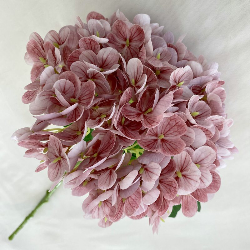 Artificial hydrangeas are made of Soft rubber cloth, available in 20 colors. Artificial hydrangeas flowers are used for ‎Home decoration, party venue decoration, wedding venue decoration, exquisite bouquet design, flower box design, flower basket design. Hydrangea flower arrangements can be paired with delphiniums, freesias, foxgloves, greenery, bells, and more. Use hydrangeas in different colors to create a more vibrant floral arrangement for special occasions. Add some greenery to your flower arrangement to fill in the gaps and add visual interest. Use a vase or container in the same color as the hydrangeas for a more cohesive look. Leafhometrade specializes in providing wholesale custom artificial plants.