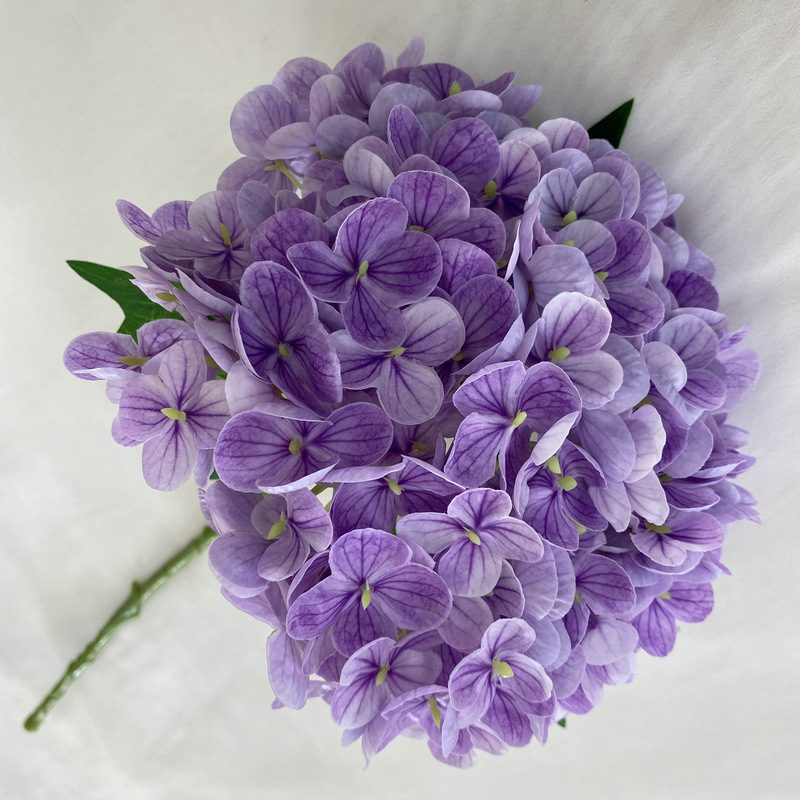 Artificial hydrangeas are made of Soft rubber cloth, available in 20 colors. Artificial hydrangeas flowers are used for ‎Home decoration, party venue decoration, wedding venue decoration, exquisite bouquet design, flower box design, flower basket design. Hydrangea flower arrangements can be paired with delphiniums, freesias, foxgloves, greenery, bells, and more. Use hydrangeas in different colors to create a more vibrant floral arrangement for special occasions. Add some greenery to your flower arrangement to fill in the gaps and add visual interest. Use a vase or container in the same color as the hydrangeas for a more cohesive look. Leafhometrade specializes in providing wholesale custom artificial plants.