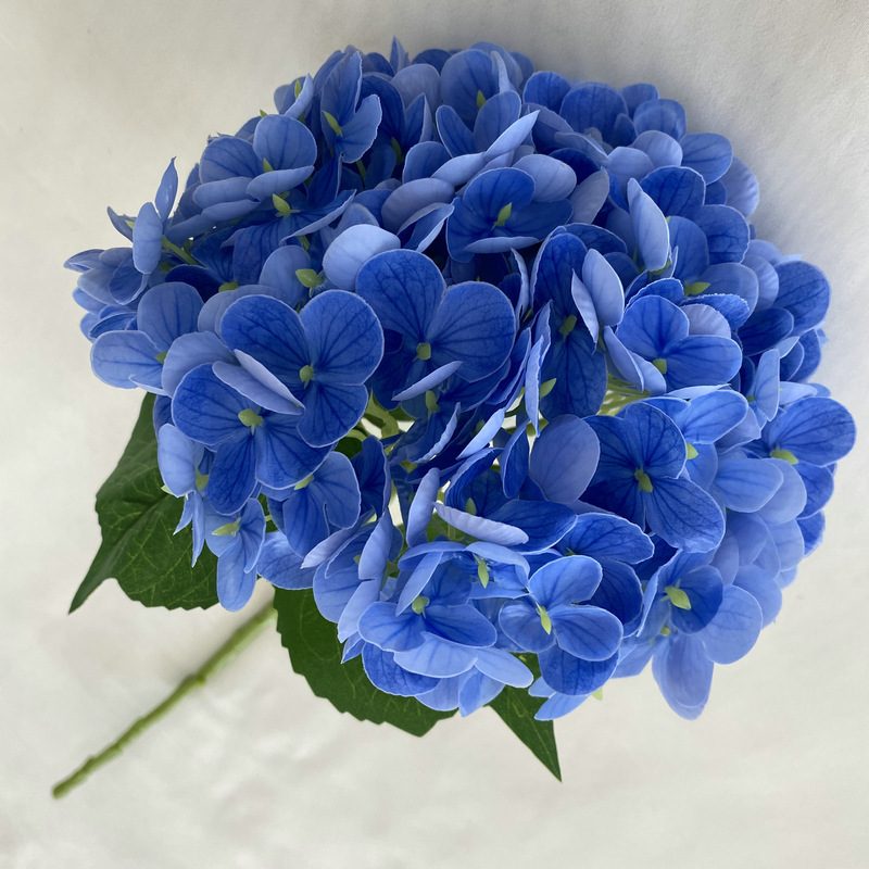 Artificial hydrangeas are made of Soft rubber cloth, available in 20 colors. Artificial hydrangeas flowers are used for ‎Home decoration, party venue decoration, wedding venue decoration, exquisite bouquet design, flower box design, flower basket design. Hydrangea flower arrangements can be paired with delphiniums, freesias, foxgloves, greenery, bells, and more. Use hydrangeas in different colors to create a more vibrant floral arrangement for special occasions. Add some greenery to your flower arrangement to fill in the gaps and add visual interest. Use a vase or container in the same color as the hydrangeas for a more cohesive look. Leafhometrade specializes in providing wholesale custom artificial plants.