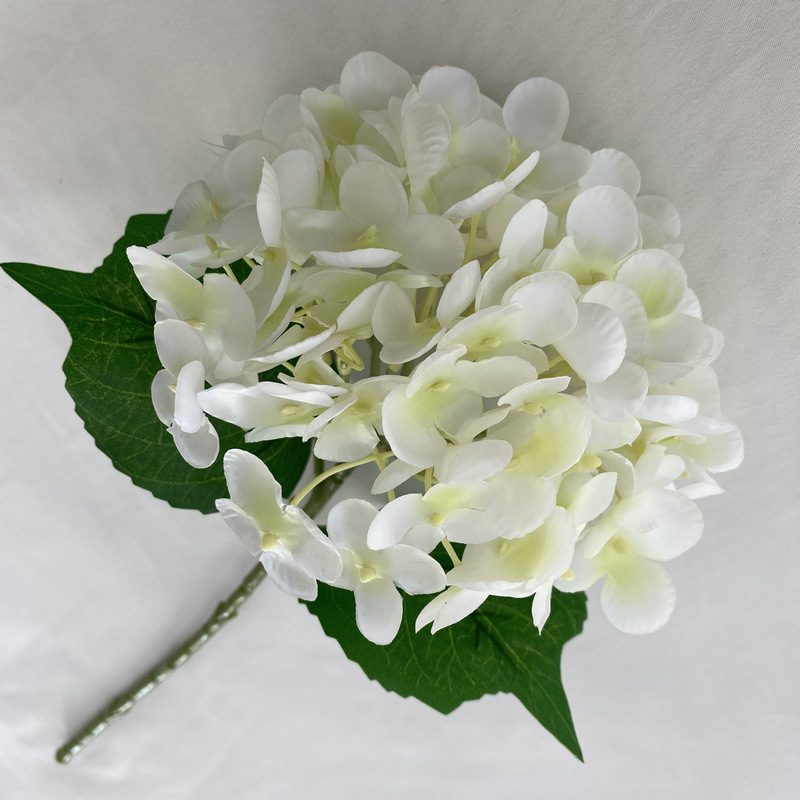 Artificial hydrangeas are made of Soft rubber cloth, available in 22 colors. Artificial hydrangeas flowers are used for ‎Home decoration, party venue decoration, wedding venue decoration, exquisite bouquet design, flower box design, flower basket design. Hydrangea flower arrangements can be paired with delphiniums, freesias, foxgloves, greenery, bells, and more. Use hydrangeas in different colors to create a more vibrant floral arrangement for special occasions. Add some greenery to your flower arrangement to fill in the gaps and add visual interest. Use a vase or container in the same color as the hydrangeas for a more cohesive look. Leafhometrade specializes in providing wholesale custom artificial plants.