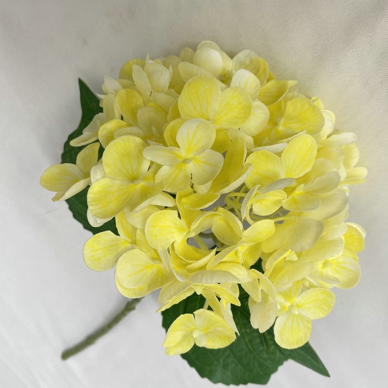 Artificial hydrangeas are made of Soft rubber cloth, available in 22 colors. Artificial hydrangeas flowers are used for ‎Home decoration, party venue decoration, wedding venue decoration, exquisite bouquet design, flower box design, flower basket design. Hydrangea flower arrangements can be paired with delphiniums, freesias, foxgloves, greenery, bells, and more. Use hydrangeas in different colors to create a more vibrant floral arrangement for special occasions. Add some greenery to your flower arrangement to fill in the gaps and add visual interest. Use a vase or container in the same color as the hydrangeas for a more cohesive look. Leafhometrade specializes in providing wholesale custom artificial plants.