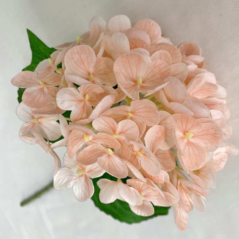 Artificial hydrangeas are made of Soft rubber cloth, available in 22 colors. Artificial hydrangeas flowers are used for ‎Home decoration, party venue decoration, wedding venue decoration, exquisite bouquet design, flower box design, flower basket design. Hydrangea flower arrangements can be paired with delphiniums, freesias, foxgloves, greenery, bells, and more. Use hydrangeas in different colors to create a more vibrant floral arrangement for special occasions. Add some greenery to your flower arrangement to fill in the gaps and add visual interest. Use a vase or container in the same color as the hydrangeas for a more cohesive look. Leafhometrade specializes in providing wholesale custom artificial plants.