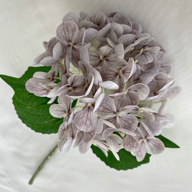 Artificial hydrangeas are made of Soft rubber cloth, available in 22 colors. Artificial hydrangeas flowers are used for ‎Home decoration, party venue decoration, wedding venue decoration, exquisite bouquet design, flower box design, flower basket design. Hydrangea flower arrangements can be paired with delphiniums, freesias, foxgloves, greenery, bells, and more. Use hydrangeas in different colors to create a more vibrant floral arrangement for special occasions. Add some greenery to your flower arrangement to fill in the gaps and add visual interest. Use a vase or container in the same color as the hydrangeas for a more cohesive look. Leafhometrade specializes in providing wholesale custom artificial plants.