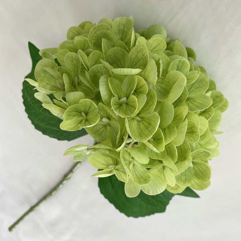 Artificial hydrangeas are made of Soft rubber cloth, available in 22 colors. Artificial hydrangeas flowers are used for ‎Home decoration, party venue decoration, wedding venue decoration, exquisite bouquet design, flower box design, flower basket design. Hydrangea flower arrangements can be paired with delphiniums, freesias, foxgloves, greenery, bells, and more. Use hydrangeas in different colors to create a more vibrant floral arrangement for special occasions. Add some greenery to your flower arrangement to fill in the gaps and add visual interest. Use a vase or container in the same color as the hydrangeas for a more cohesive look. Leafhometrade specializes in providing wholesale custom artificial plants.