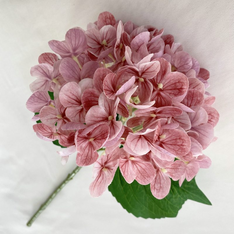 Artificial hydrangeas are made of Soft rubber cloth, available in 22 colors. Artificial hydrangeas flowers are used for ‎Home decoration, party venue decoration, wedding venue decoration, exquisite bouquet design, flower box design, flower basket design. Hydrangea flower arrangements can be paired with delphiniums, freesias, foxgloves, greenery, bells, and more. Use hydrangeas in different colors to create a more vibrant floral arrangement for special occasions. Add some greenery to your flower arrangement to fill in the gaps and add visual interest. Use a vase or container in the same color as the hydrangeas for a more cohesive look. Leafhometrade specializes in providing wholesale custom artificial plants.