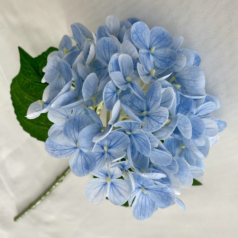 Artificial hydrangeas are made of Soft rubber cloth, available in 22 colors. Artificial hydrangeas flowers are used for ‎Home decoration, party venue decoration, wedding venue decoration, exquisite bouquet design, flower box design, flower basket design. Hydrangea flower arrangements can be paired with delphiniums, freesias, foxgloves, greenery, bells, and more. Use hydrangeas in different colors to create a more vibrant floral arrangement for special occasions. Add some greenery to your flower arrangement to fill in the gaps and add visual interest. Use a vase or container in the same color as the hydrangeas for a more cohesive look. Leafhometrade specializes in providing wholesale custom artificial plants.