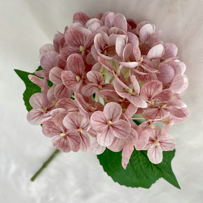 Artificial hydrangeas are made of Soft rubber cloth, available in 22 colors. Artificial hydrangeas flowers are used for ‎Home decoration, party venue decoration, wedding venue decoration, exquisite bouquet design, flower box design, flower basket design. Hydrangea flower arrangements can be paired with delphiniums, freesias, foxgloves, greenery, bells, and more. Use hydrangeas in different colors to create a more vibrant floral arrangement for special occasions. Add some greenery to your flower arrangement to fill in the gaps and add visual interest. Use a vase or container in the same color as the hydrangeas for a more cohesive look. Leafhometrade specializes in providing wholesale custom artificial plants.