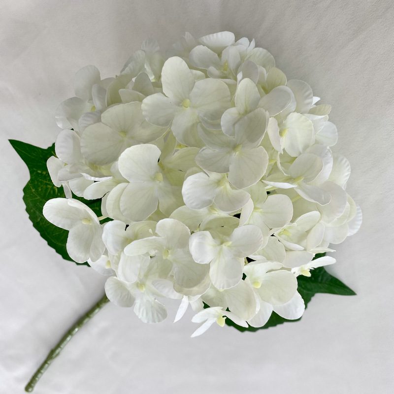 Artificial hydrangeas are made of Soft rubber cloth, available in 22 colors. Artificial hydrangeas flowers are used for ‎Home decoration, party venue decoration, wedding venue decoration, exquisite bouquet design, flower box design, flower basket design. Hydrangea flower arrangements can be paired with delphiniums, freesias, foxgloves, greenery, bells, and more. Use hydrangeas in different colors to create a more vibrant floral arrangement for special occasions. Add some greenery to your flower arrangement to fill in the gaps and add visual interest. Use a vase or container in the same color as the hydrangeas for a more cohesive look. Leafhometrade specializes in providing wholesale custom artificial plants.