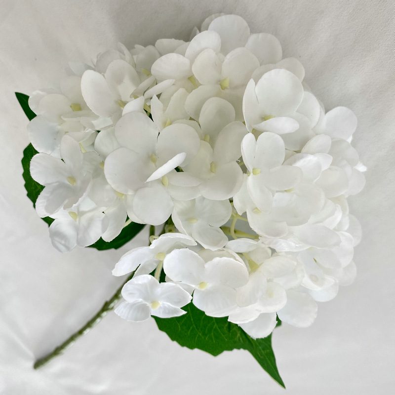 Artificial hydrangeas are made of Soft rubber cloth, available in 22 colors. Artificial hydrangeas flowers are used for ‎Home decoration, party venue decoration, wedding venue decoration, exquisite bouquet design, flower box design, flower basket design. Hydrangea flower arrangements can be paired with delphiniums, freesias, foxgloves, greenery, bells, and more. Use hydrangeas in different colors to create a more vibrant floral arrangement for special occasions. Add some greenery to your flower arrangement to fill in the gaps and add visual interest. Use a vase or container in the same color as the hydrangeas for a more cohesive look. Leafhometrade specializes in providing wholesale custom artificial plants.