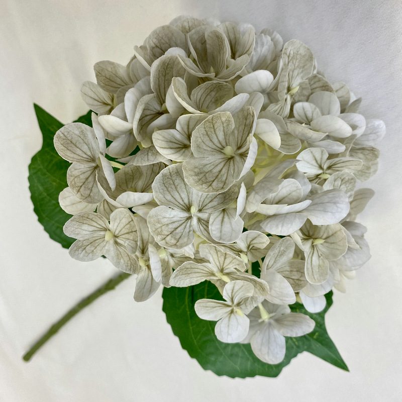 Artificial hydrangeas are made of Soft rubber cloth, available in 22 colors. Artificial hydrangeas flowers are used for ‎Home decoration, party venue decoration, wedding venue decoration, exquisite bouquet design, flower box design, flower basket design. Hydrangea flower arrangements can be paired with delphiniums, freesias, foxgloves, greenery, bells, and more. Use hydrangeas in different colors to create a more vibrant floral arrangement for special occasions. Add some greenery to your flower arrangement to fill in the gaps and add visual interest. Use a vase or container in the same color as the hydrangeas for a more cohesive look. Leafhometrade specializes in providing wholesale custom artificial plants.