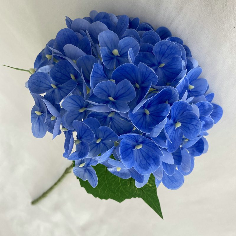 Artificial hydrangeas are made of Soft rubber cloth, available in 22 colors. Artificial hydrangeas flowers are used for ‎Home decoration, party venue decoration, wedding venue decoration, exquisite bouquet design, flower box design, flower basket design. Hydrangea flower arrangements can be paired with delphiniums, freesias, foxgloves, greenery, bells, and more. Use hydrangeas in different colors to create a more vibrant floral arrangement for special occasions. Add some greenery to your flower arrangement to fill in the gaps and add visual interest. Use a vase or container in the same color as the hydrangeas for a more cohesive look. Leafhometrade specializes in providing wholesale custom artificial plants.